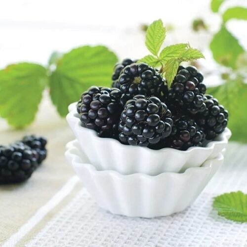 Delishh blackberries 1kg